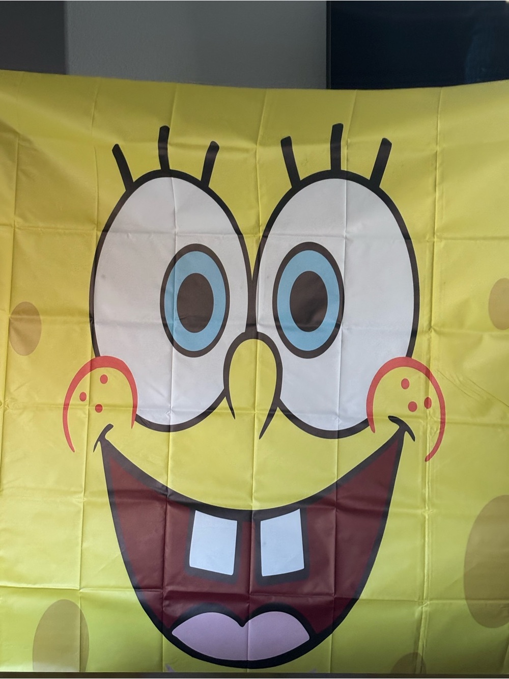Spongebob Backdrop - Picture 2 of 8